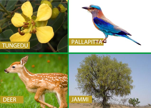 list-of-telangana-state-symbols-animal-flower-tree-bird